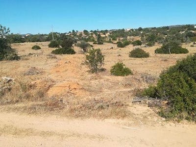 /international/pt/olhao-faro-310103666736/