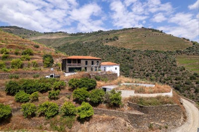 /international/pt/vale-de-mendiz-casal-de-loivos-e-vilarinho-de-cot-vila-real-310100741964/