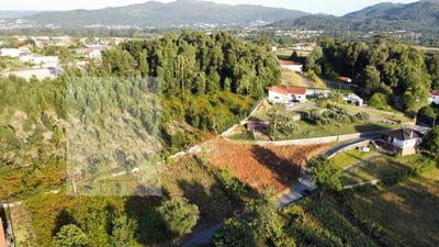 /international/pt/fontao-viana-do-castelo-310101079091/?lang=zh-tw