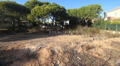 /international/pt/faro-faro-310104113646/
