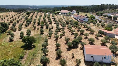 /international/pt/santarem-santarem-310099353717/