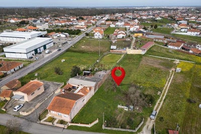 /international/pt/a-dos-pretos-leiria-portugal-maceira-lisbon-310105741195/