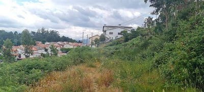 /international/pt/fafe-braga-310102346704/