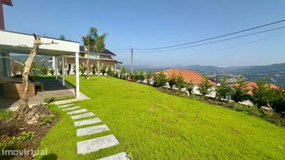 /international/pt/raiva-coimbra-310107703408/?lang=fr