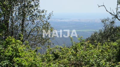 /international/pt/barranco-do-silvestre-acor-coimbra-120075663216/