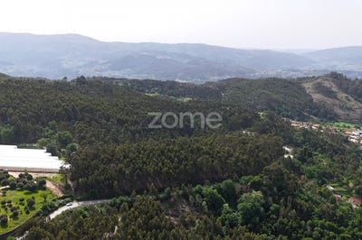 /international/pt/povoa-de-lanhoso-braga-310107467580/