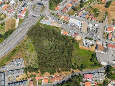 /international/pt/mozelos-viana-do-castelo-310101032417/
