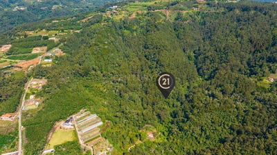 /international/pt/moreno-ilha-da-madeira-madeira-120091003484/
