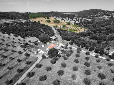 /international/pt/courela-da-mina-ervideira-de-baixo-nossa-senhora-da-vila-evora-310095294548/
