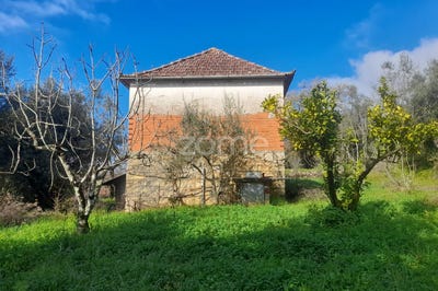 /international/pt/pombal-braga-310097321489/