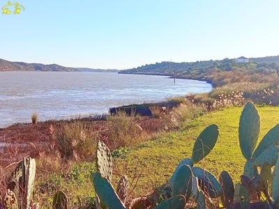 /international/pt/castro-marim-faro-310105819016/