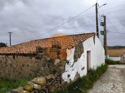 /international/pt/vaqueiros-santarem-310105015198/
