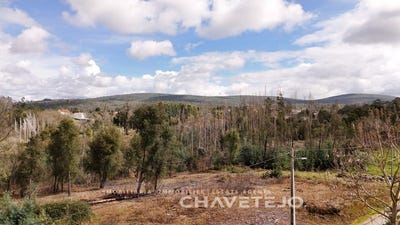 /international/pt/pousaflores-leiria-310104231530/