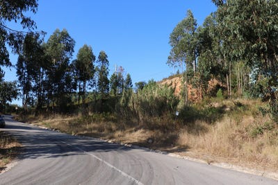 /international/pt/pombal-braga-120091004574/