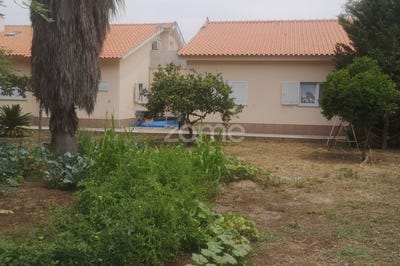 /international/pt/palmela-setubal-municipality-310101226429/