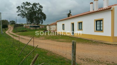/international/pt/serpa-beja-310107215154/
