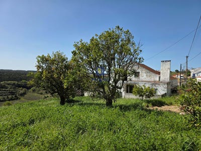 /international/pt/vidais-leiria-310099412610/?lang=zh-cn