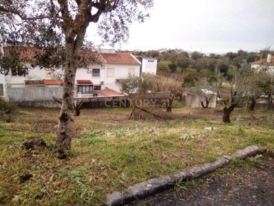 /international/pt/tomar-sao-joao-baptista-e-santa-maria-dos-olivai-setubal-municipality-310094782470/