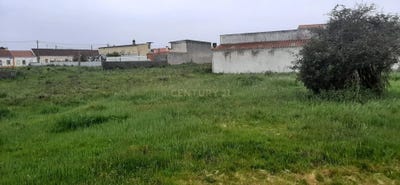 /international/pt/rua-de-leiria-marinha-grande-leiria-310108836020/?lang=de
