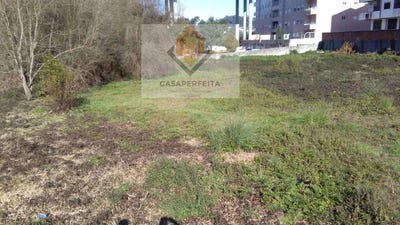 /international/pt/oliveira-do-douro-porto-120086039353/