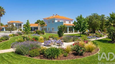/international/pt/setubal-setubal-municipality-310108895165/
