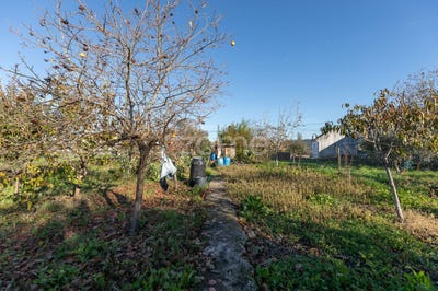 /international/pt/penela-coimbra-310105717124/