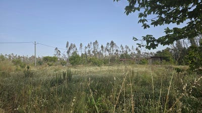 /international/pt/rua-das-lagoinhas-2430-marinha-grande-portugal-marinha-grande-leiria-310108372724/