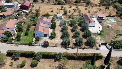 /international/pt/colos-odemira-beja-310101017948/