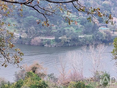 /international/pt/viseu-viseu-310103635588/