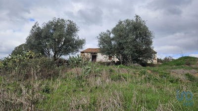 /international/pt/luzianes-gare-beja-310099195291/?lang=zh-tw