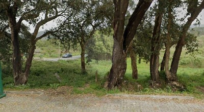 /international/pt/viana-do-castelo-viana-do-castelo-310106483502/