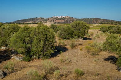 /international/pt/monsaraz-evora-310106158069/