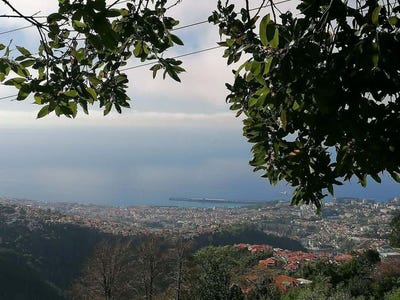 /international/pt/sao-roque-funchal-madeira-310108596622/