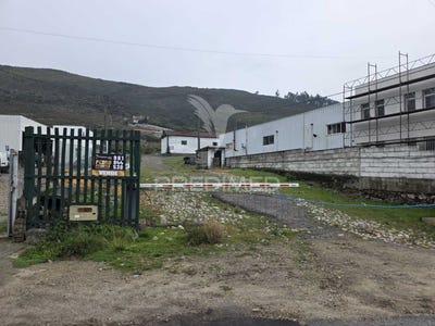 /international/pt/barroselas-e-carvoeiro-viana-do-castelo-viana-do-castelo-310103215536/