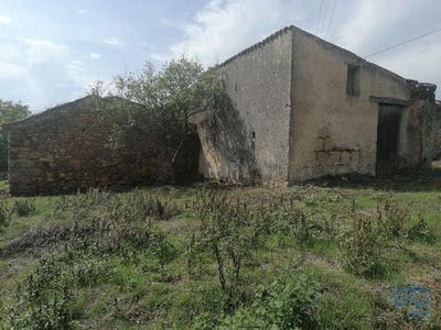/international/pt/miranda-do-corvo-coimbra-120086451933/