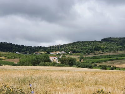 /international/pt/arruda-dos-vinhos-lisbon-310101352506/?lang=zh-tw