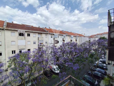 /international/pt/venteira-amadora-lisbon-310101336584/?lang=zh-tw