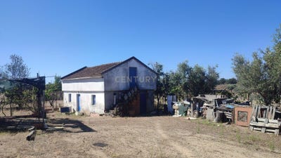 /international/pt/couto-da-quinta-escalos-de-baixo-castelo-branco-310105249993/
