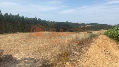 /international/pt/uniao-freguesias-santa-maria-lisbon-310100487905/