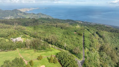 /international/pt/agua-de-pena-madeira-310104961990/