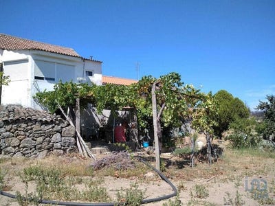 /international/pt/goncalo-guarda-310101336129/?lang=zh-tw