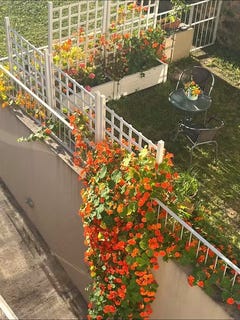 /international/pt/rua-candido-dos-reis-vila-nova-de-gaia-porto-310109238585/