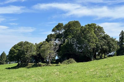 /international/pt/nordeste-azores-120086050465/