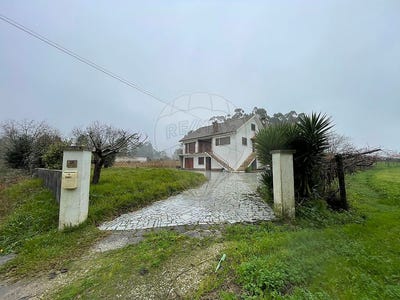 /international/pt/viana-do-castelo-viana-do-castelo-310109019459/