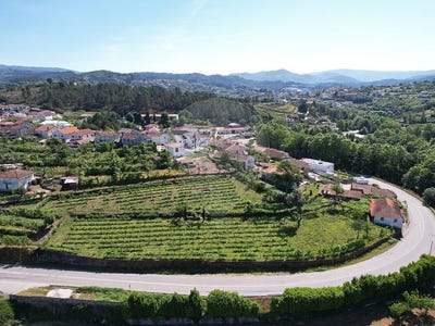/international/pt/basto-braga-310107598952/