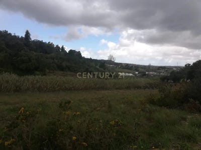 /international/pt/asseiceira-freiria-portugal-freiria-lisbon-310100664215/