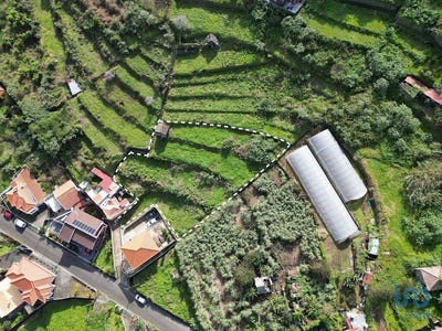/international/pt/madalena-do-mar-madeira-310101182459/