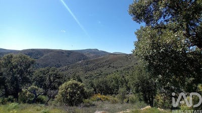 /international/pt/carvicais-braganca-310105422098/