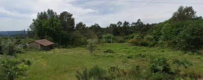 /international/pt/baixinho-e-nogueira-cavernaes-viseu-310098470190/