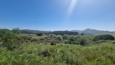 /international/pt/malveira-e-sao-miguel-de-alcainca-lisbon-310099463799/?lang=zh-tw